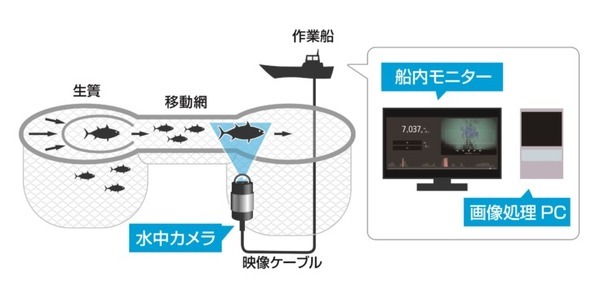 98%以上の精度でマグロを自動カウント ヤンマー舶用システムが「自動魚数カウントシステム」を発表