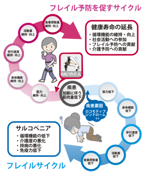 つくば市のふるさと納税返礼品に「自宅でNeuro HALFIT」が登録決定！ 「さとふる」への掲載は12月18日頃を予定