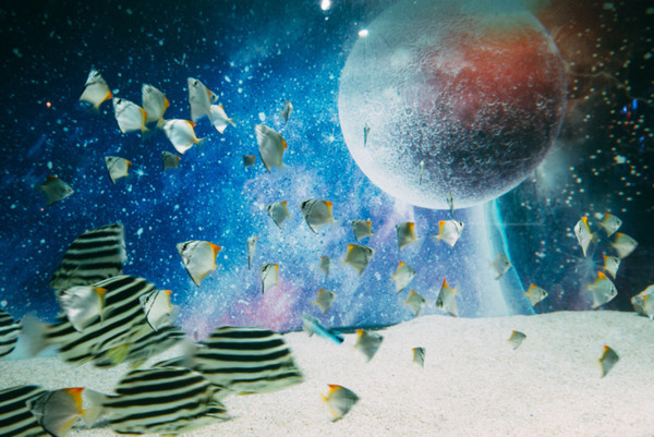 横浜ワールドポーターズに「宇宙xアクアリウム」異次元水族館！アクアリウム宇宙旅行「UNDER WATER SPACE」期間限定オープン