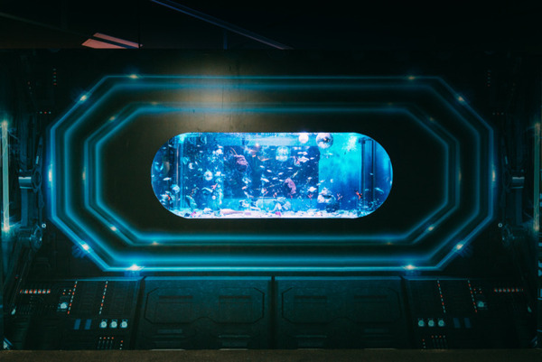 横浜ワールドポーターズに「宇宙xアクアリウム」異次元水族館！アクアリウム宇宙旅行「UNDER WATER SPACE」期間限定オープン