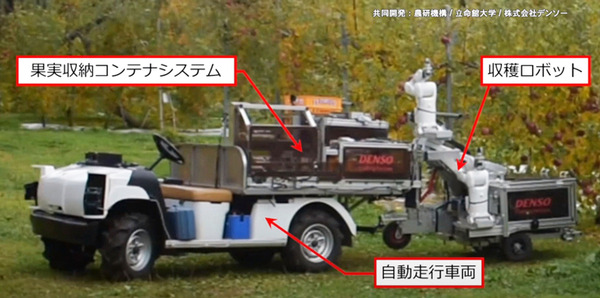 自律式の果実収穫AIロボットのプロトタイプを発表　人とほぼ同じ速さでリンゴなど果実を収穫　農研機構/デンソー/立命館が開発
