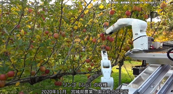 自律式の果実収穫AIロボットのプロトタイプを発表　人とほぼ同じ速さでリンゴなど果実を収穫　農研機構/デンソー/立命館が開発