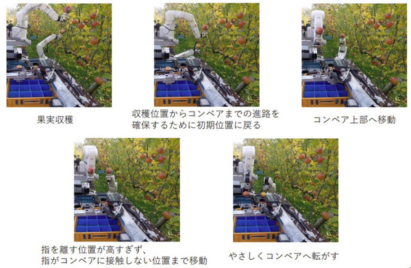 自律式の果実収穫AIロボットのプロトタイプを発表　人とほぼ同じ速さでリンゴなど果実を収穫　農研機構/デンソー/立命館が開発
