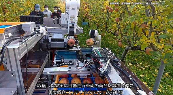 自律式の果実収穫AIロボットのプロトタイプを発表　人とほぼ同じ速さでリンゴなど果実を収穫　農研機構/デンソー/立命館が開発