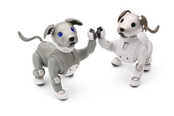 【速報】ソニーのペットロボット「aibo」2021年の限定バージョンは「黒ごま エディション」4色から選べる瞳がチャームポイント
