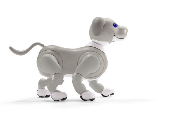 【速報】ソニーのペットロボット「aibo」2021年の限定バージョンは「黒ごま エディション」4色から選べる瞳がチャームポイント