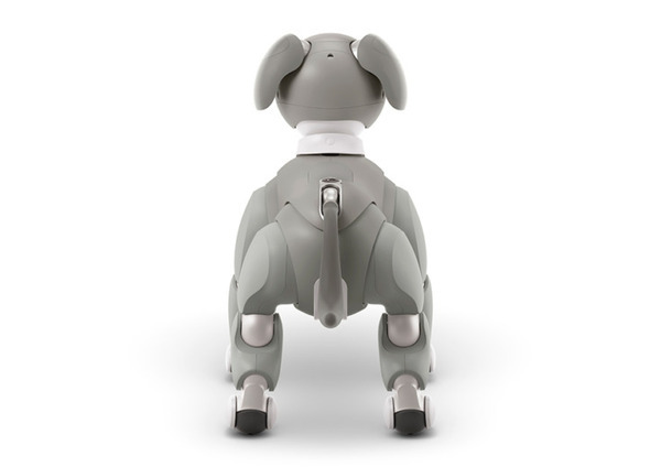 【速報】ソニーのペットロボット「aibo」2021年の限定バージョンは「黒ごま エディション」4色から選べる瞳がチャームポイント