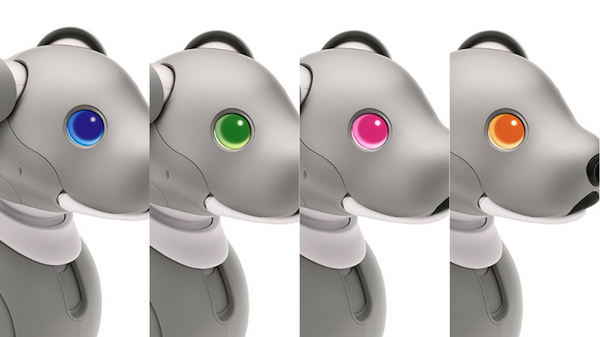 【速報】ソニーのペットロボット「aibo」2021年の限定バージョンは「黒ごま エディション」4色から選べる瞳がチャームポイント