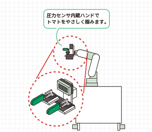 巨大トマトが目じるし　YE DIGITALショールームで九州工業大学が研究を進める「トマト収穫ロボット」を展示　スマート農業を促進