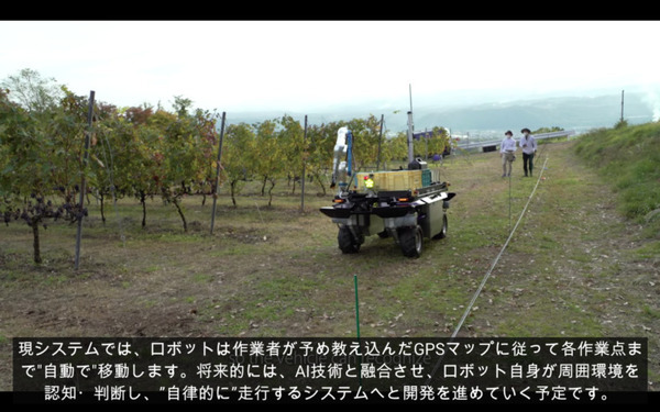 ヤマハ発動機が「ぶどう収穫AGV」の動画を公開　長野県で無人の農業向け自動運転車両の開発が進む　90%の精度で検出