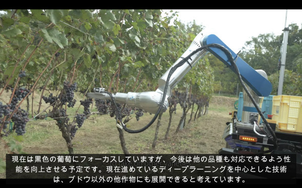 ヤマハ発動機が「ぶどう収穫AGV」の動画を公開　長野県で無人の農業向け自動運転車両の開発が進む　90%の精度で検出