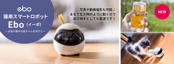 ペットの退屈を解消するスマートロボット「Ebo」(イーボ)　自動走行モード搭載、スマホアプリで手軽に撮影や声掛けもできる