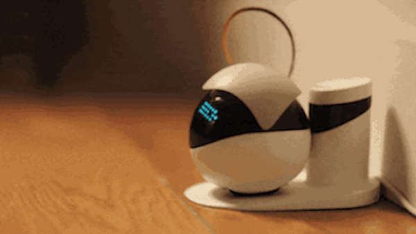 ペットの退屈を解消するスマートロボット「Ebo」(イーボ)　自動走行モード搭載、スマホアプリで手軽に撮影や声掛けもできる