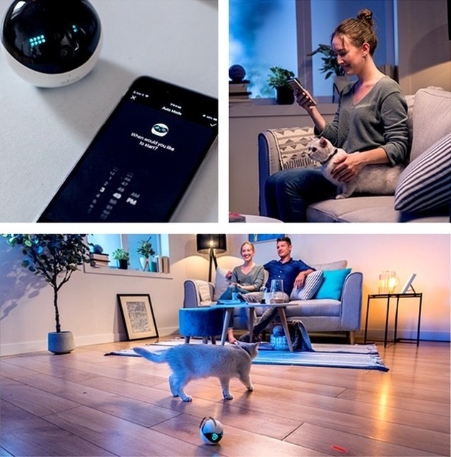 ペットの退屈を解消するスマートロボット「Ebo」(イーボ)　自動走行モード搭載、スマホアプリで手軽に撮影や声掛けもできる