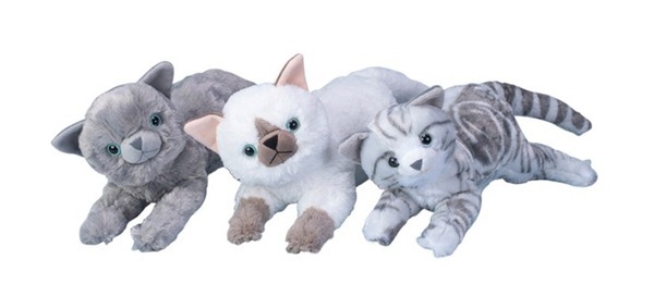 2月22日は猫の日「Keio にゃんにゃんフェスティバル」開催中！あのネコロボットもいるよ　京王百貨店 新宿店