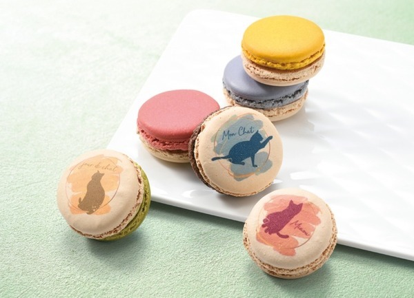 2月22日は猫の日「Keio にゃんにゃんフェスティバル」開催中！あのネコロボットもいるよ　京王百貨店 新宿店