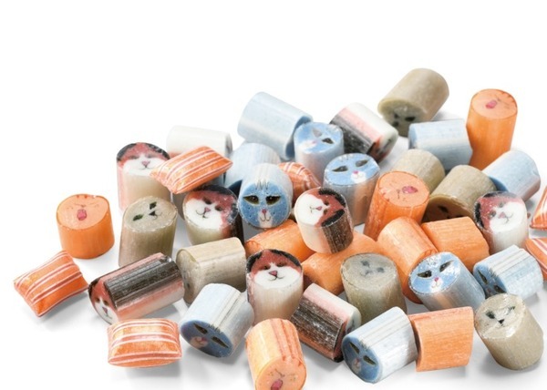 2月22日は猫の日「Keio にゃんにゃんフェスティバル」開催中！あのネコロボットもいるよ　京王百貨店 新宿店