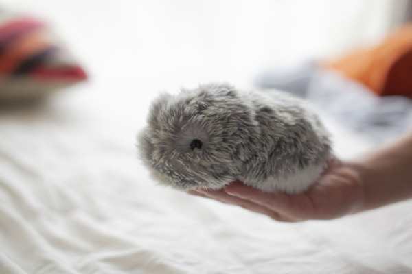 注目の「ふわふわ癒し系ロボット」５選を紹介！柔らかい触り心地、思わずニコッとしてしまう声や仕草の家庭用ロボット達