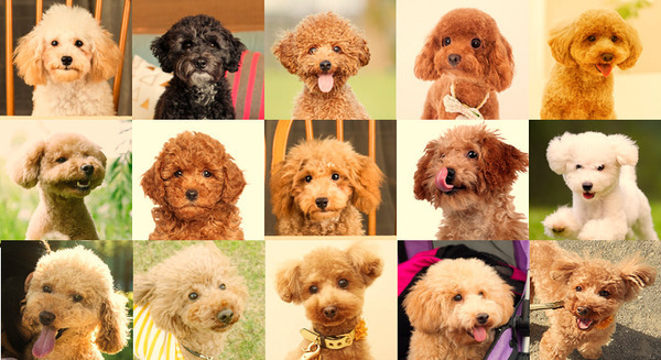 <p>シェア 0 ツイート 0 はてブ 0</p>