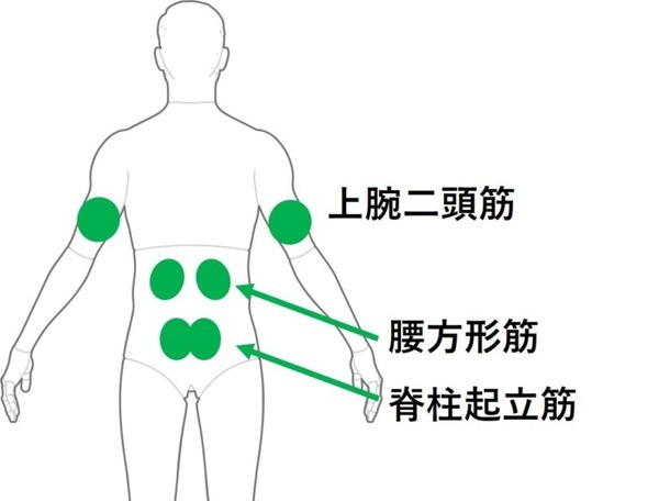ATOUNの着るロボットは腕の負荷を65%軽減 「腕＋腰の併用」で疲労度は6割減　鈴与甲信支店の作業員が実験に参加