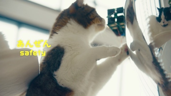 NTTドコモの猫型ドローン「にゃろーん」動画を公開　猫心をつかんで離さない技術と魅力を解説　#猫の日