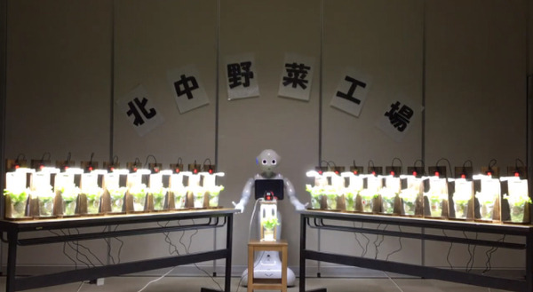 子ども達が社会課題をPepperで解決するプログラミングコンテスト「STREAMチャレンジ2021」全国大会出場チームが決定