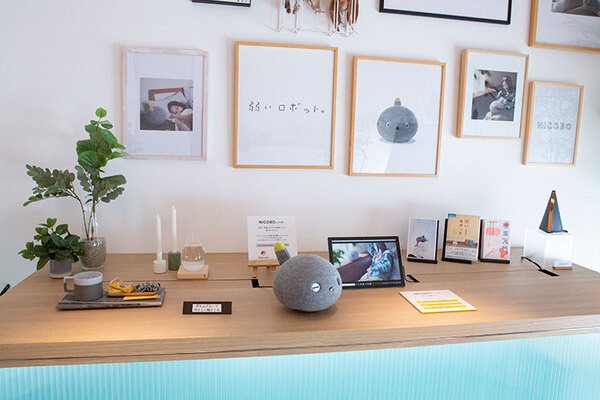 パナソニックの「NICOBO」(ニコボ)体験レビュー(2) 「追加販売はある? 着せ替えできる? 感情モデルって何?」開発チームに聞く