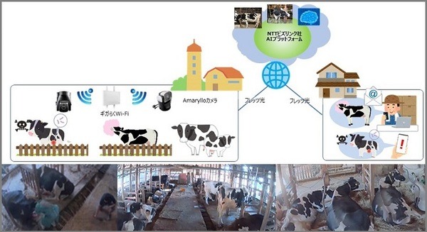 <p>シェア 0 ツイート 0 はてブ 0</p>