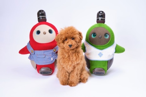 ペットショップ「ペットプラス」に家族型ロボット『LOVOT』が期間限定で登場 ロボットとの新しいライフスタイルを提案