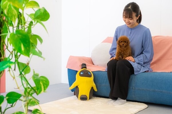 ペットショップ「ペットプラス」に家族型ロボット『LOVOT』が期間限定で登場 ロボットとの新しいライフスタイルを提案