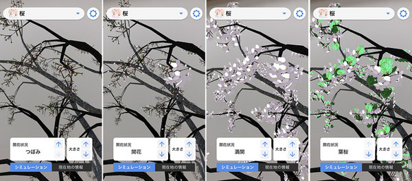 ARで目の前に桜の木が出現！いつでもどこでもお花見　ウェザーニューズ『さくらAR』