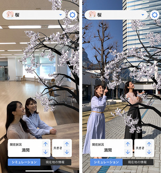 ARで目の前に桜の木が出現！いつでもどこでもお花見　ウェザーニューズ『さくらAR』