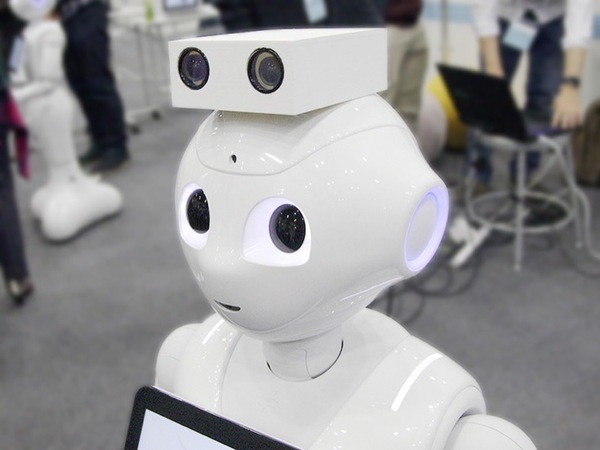 HUGではPepperの頭部に二眼の映像カメラを装備している