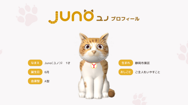 本物の猫のように育ち・なつくバーチャルペット「Juno」(ユノ) ユピテル公式オンラインショップにて発売