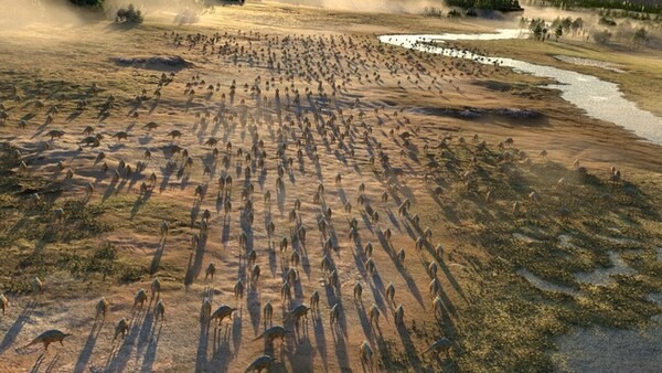 “世界で最も完全で美しい”トリケラトプスの実物全身骨格が日本初上陸！ソニーグループ「恐竜科学博」見どころ大紹介