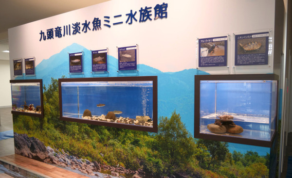 ロボホンが道の駅『越前おおの 荒島の郷』で観光案内サービスを開始　4カ所のロボホンがクイズを出題するイベントラリーも開催