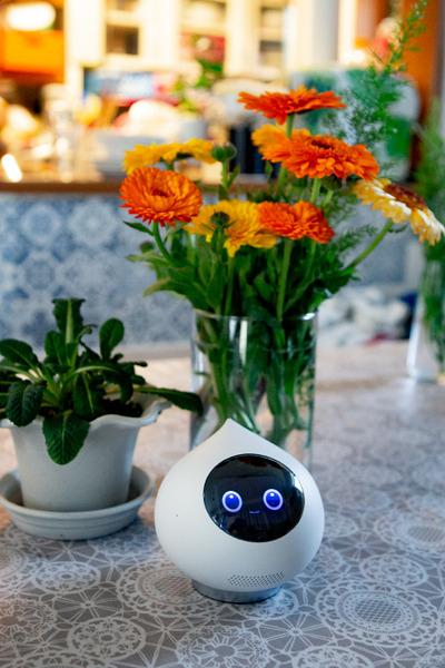 ミクシィの自律型会話ロボット「Romi」(ロミィ)発売　実際にRomiと会話したり遊んでみた！2つの会話エンジンの効果は【体験レビュー】