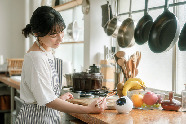 ミクシィの自律型会話ロボット「Romi」(ロミィ)発売　実際にRomiと会話したり遊んでみた！2つの会話エンジンの効果は【体験レビュー】