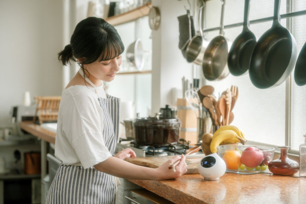 mixi会話ロボット「Romi」と暮らした購入者の感想を公開　87.3％がRomiとの会話「癒やされた・楽しい気持ちになった」