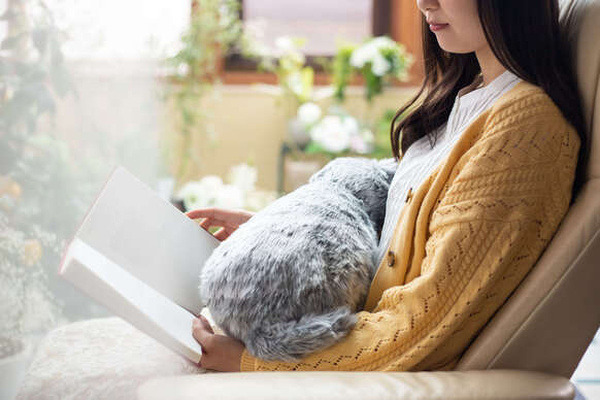 寝ている猫を再現した猫型クッション「ミャウエバー」Makuakeで先行販売開始 温もり、重さ、ゴロゴロ音、心音などを再現