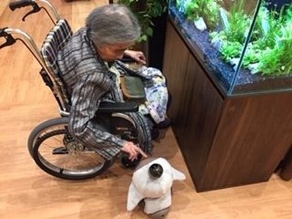 SOMPOケア 介護サービス事業所10ヵ所で「LOVOT」を試験導入 人と人とのコミュニケーションの促進など 生活や心身の変化を調査