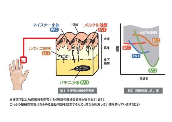 触った時の「つるつる」「ざらざら」を数値化する試験機　カトーテックが慶應義塾大学と5年をかけて実現 2021年秋から販売