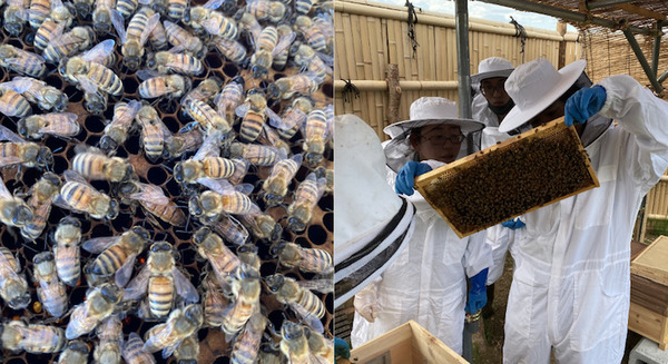 <p>シェア 0 ツイート 0 はてブ 0</p>