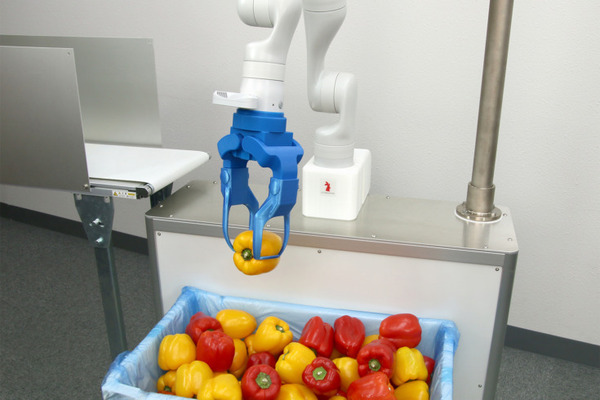 アールティ、野菜投入ロボット用のビジョン＆ピッキングシステムを開発　業務用フードスライサー等にカスタマイズ対応が可能