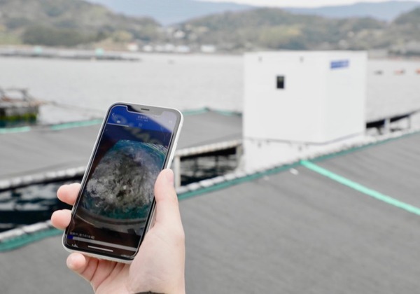 IoTとAIを使ったスマート給餌機で真鯛のエサの量を効率化、2割削減！育った魚は「うみとさち」で販売開始　持続可能な水産養殖へ