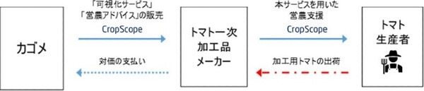 NECとカゴメ、豪州での実証成果を踏まえて農業ICTプラットフォーム「CropScope」を強化　AIで可視化・営農アドバイス