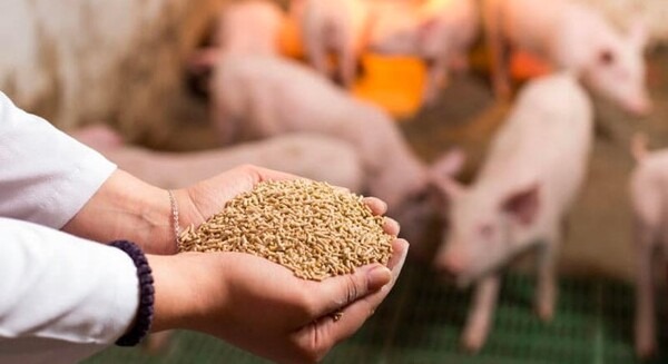 <p>シェア 0 ツイート 0 はてブ 0</p>