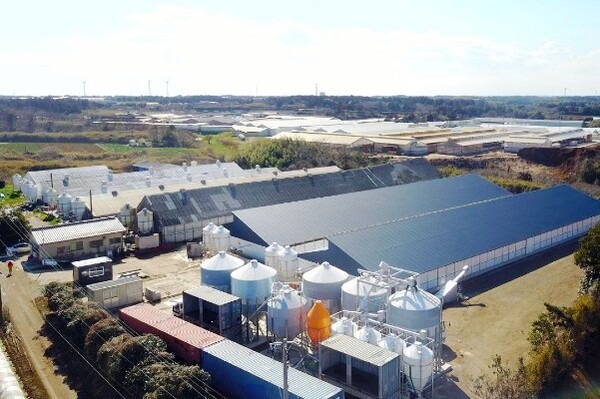 NTT東日本、AIカメラで養豚の体重・体格・肉質を計測する実証実験を神奈川県で開始　品質・生産性向上を目指す