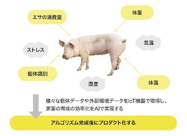 NTT東日本、AIカメラで養豚の体重・体格・肉質を計測する実証実験を神奈川県で開始　品質・生産性向上を目指す