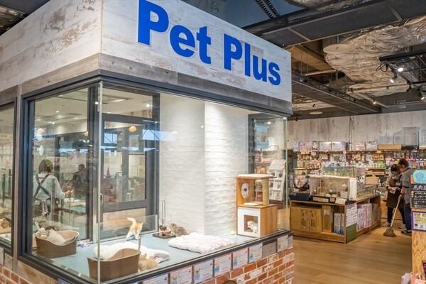 猫と「LOVOT」と自由に遊べる空間が川崎ルフロン内に誕生！モフモフ感満喫の予感 『LOVOT Cafe』でクーポンを配布